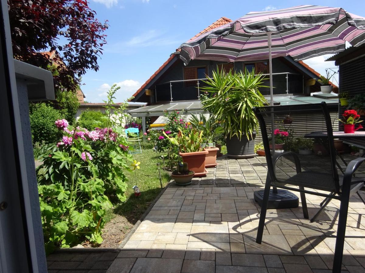 Ferienwohnung Relax 伊尔森堡 外观 照片
