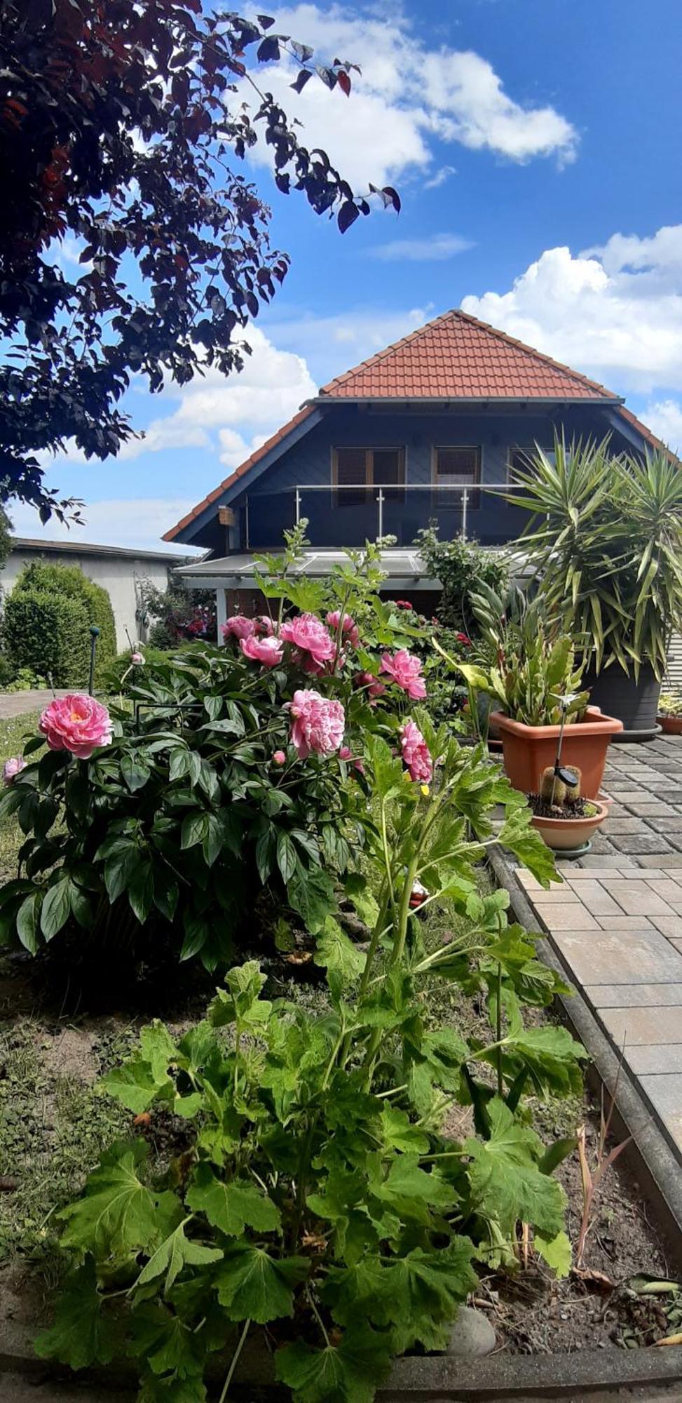 Ferienwohnung Relax 伊尔森堡 外观 照片
